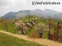 [P26] sat Magura? sat Pestera? chiar nu mai conta in peisajul primavaratec! » foto by cc_iordachescu
 - 
<span class="allrVoted glyphicon glyphicon-heart hidden" id="av45065"></span>
<a class="m-l-10 hidden" id="sv45065" onclick="voting_Foto_DelVot(,45065,4764)" role="button">șterge vot <span class="glyphicon glyphicon-remove"></span></a>
<a id="v945065" class=" c-red"  onclick="voting_Foto_SetVot(45065)" role="button"><span class="glyphicon glyphicon-heart-empty"></span> <b>LIKE</b> = Votează poza</a> <img class="hidden"  id="f45065W9" src="/imagini/loader.gif" border="0" /><span class="AjErrMes hidden" id="e45065ErM"></span>