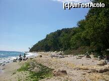 [P13] alge bulgare » foto by Romania4EVER
 - 
<span class="allrVoted glyphicon glyphicon-heart hidden" id="av258050"></span>
<a class="m-l-10 hidden" id="sv258050" onclick="voting_Foto_DelVot(,258050,4765)" role="button">șterge vot <span class="glyphicon glyphicon-remove"></span></a>
<a id="v9258050" class=" c-red"  onclick="voting_Foto_SetVot(258050)" role="button"><span class="glyphicon glyphicon-heart-empty"></span> <b>LIKE</b> = Votează poza</a> <img class="hidden"  id="f258050W9" src="/imagini/loader.gif" border="0" /><span class="AjErrMes hidden" id="e258050ErM"></span>