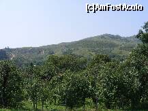 [P03] [Muntii Siriu - Chiojdul Mic - Starchiojd]  » foto by dan_ramy*
 - 
<span class="allrVoted glyphicon glyphicon-heart hidden" id="av126516"></span>
<a class="m-l-10 hidden" id="sv126516" onclick="voting_Foto_DelVot(,126516,4816)" role="button">șterge vot <span class="glyphicon glyphicon-remove"></span></a>
<a id="v9126516" class=" c-red"  onclick="voting_Foto_SetVot(126516)" role="button"><span class="glyphicon glyphicon-heart-empty"></span> <b>LIKE</b> = Votează poza</a> <img class="hidden"  id="f126516W9" src="/imagini/loader.gif" border="0" /><span class="AjErrMes hidden" id="e126516ErM"></span>