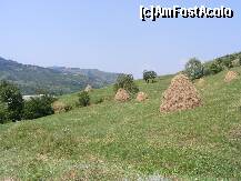 [P05] [Muntii Siriu - Chiojdul Mic - Starchiojd]  » foto by dan_ramy*
 - 
<span class="allrVoted glyphicon glyphicon-heart hidden" id="av126518"></span>
<a class="m-l-10 hidden" id="sv126518" onclick="voting_Foto_DelVot(,126518,4816)" role="button">șterge vot <span class="glyphicon glyphicon-remove"></span></a>
<a id="v9126518" class=" c-red"  onclick="voting_Foto_SetVot(126518)" role="button"><span class="glyphicon glyphicon-heart-empty"></span> <b>LIKE</b> = Votează poza</a> <img class="hidden"  id="f126518W9" src="/imagini/loader.gif" border="0" /><span class="AjErrMes hidden" id="e126518ErM"></span>