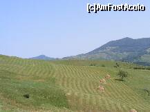 [P09] [Muntii Siriu - Chiojdul Mic - Starchiojd]  » foto by dan_ramy*
 - 
<span class="allrVoted glyphicon glyphicon-heart hidden" id="av126522"></span>
<a class="m-l-10 hidden" id="sv126522" onclick="voting_Foto_DelVot(,126522,4816)" role="button">șterge vot <span class="glyphicon glyphicon-remove"></span></a>
<a id="v9126522" class=" c-red"  onclick="voting_Foto_SetVot(126522)" role="button"><span class="glyphicon glyphicon-heart-empty"></span> <b>LIKE</b> = Votează poza</a> <img class="hidden"  id="f126522W9" src="/imagini/loader.gif" border="0" /><span class="AjErrMes hidden" id="e126522ErM"></span>