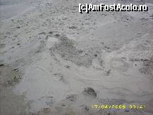 [P16] peisaj selenar » foto by zangela69
 - 
<span class="allrVoted glyphicon glyphicon-heart hidden" id="av45954"></span>
<a class="m-l-10 hidden" id="sv45954" onclick="voting_Foto_DelVot(,45954,4816)" role="button">șterge vot <span class="glyphicon glyphicon-remove"></span></a>
<a id="v945954" class=" c-red"  onclick="voting_Foto_SetVot(45954)" role="button"><span class="glyphicon glyphicon-heart-empty"></span> <b>LIKE</b> = Votează poza</a> <img class="hidden"  id="f45954W9" src="/imagini/loader.gif" border="0" /><span class="AjErrMes hidden" id="e45954ErM"></span>