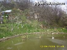 [P02] iazul si gratioasa lebada » foto by zangela69
 - 
<span class="allrVoted glyphicon glyphicon-heart hidden" id="av45933"></span>
<a class="m-l-10 hidden" id="sv45933" onclick="voting_Foto_DelVot(,45933,4816)" role="button">șterge vot <span class="glyphicon glyphicon-remove"></span></a>
<a id="v945933" class=" c-red"  onclick="voting_Foto_SetVot(45933)" role="button"><span class="glyphicon glyphicon-heart-empty"></span> <b>LIKE</b> = Votează poza</a> <img class="hidden"  id="f45933W9" src="/imagini/loader.gif" border="0" /><span class="AjErrMes hidden" id="e45933ErM"></span>