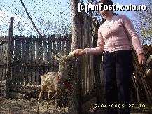 [P09] Gicu la ora mesei » foto by zangela69
 - 
<span class="allrVoted glyphicon glyphicon-heart hidden" id="av45945"></span>
<a class="m-l-10 hidden" id="sv45945" onclick="voting_Foto_DelVot(,45945,4816)" role="button">șterge vot <span class="glyphicon glyphicon-remove"></span></a>
<a id="v945945" class=" c-red"  onclick="voting_Foto_SetVot(45945)" role="button"><span class="glyphicon glyphicon-heart-empty"></span> <b>LIKE</b> = Votează poza</a> <img class="hidden"  id="f45945W9" src="/imagini/loader.gif" border="0" /><span class="AjErrMes hidden" id="e45945ErM"></span>