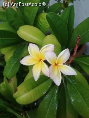 [P08]  -- <small>// FĂRĂ DESCRIERE</small> » foto by Cristian_h
 - 
<span class="allrVoted glyphicon glyphicon-heart hidden" id="av1516780"></span>
<a class="m-l-10 hidden" id="sv1516780" onclick="voting_Foto_DelVot(,1516780,4839)" role="button">șterge vot <span class="glyphicon glyphicon-remove"></span></a>
<a id="v91516780" class=" c-red"  onclick="voting_Foto_SetVot(1516780)" role="button"><span class="glyphicon glyphicon-heart-empty"></span> <b>LIKE</b> = Votează poza</a> <img class="hidden"  id="f1516780W9" src="/imagini/loader.gif" border="0" /><span class="AjErrMes hidden" id="e1516780ErM"></span>