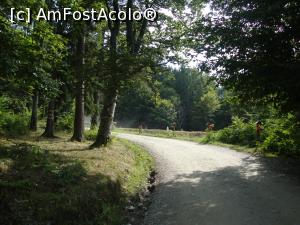 [P61] Am parcat mașina în apropiere și parcurgem pe jos ultimii metri spre izvor.  » foto by Floryn81
 - 
<span class="allrVoted glyphicon glyphicon-heart hidden" id="av720701"></span>
<a class="m-l-10 hidden" id="sv720701" onclick="voting_Foto_DelVot(,720701,4842)" role="button">șterge vot <span class="glyphicon glyphicon-remove"></span></a>
<a id="v9720701" class=" c-red"  onclick="voting_Foto_SetVot(720701)" role="button"><span class="glyphicon glyphicon-heart-empty"></span> <b>LIKE</b> = Votează poza</a> <img class="hidden"  id="f720701W9" src="/imagini/loader.gif" border="0" /><span class="AjErrMes hidden" id="e720701ErM"></span>