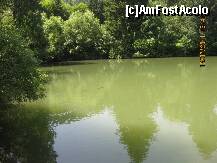 [P19] Iazul cu pastravi din spatele manastirii » foto by BEBEPETRESCU
 - 
<span class="allrVoted glyphicon glyphicon-heart hidden" id="av284877"></span>
<a class="m-l-10 hidden" id="sv284877" onclick="voting_Foto_DelVot(,284877,4842)" role="button">șterge vot <span class="glyphicon glyphicon-remove"></span></a>
<a id="v9284877" class=" c-red"  onclick="voting_Foto_SetVot(284877)" role="button"><span class="glyphicon glyphicon-heart-empty"></span> <b>LIKE</b> = Votează poza</a> <img class="hidden"  id="f284877W9" src="/imagini/loader.gif" border="0" /><span class="AjErrMes hidden" id="e284877ErM"></span>