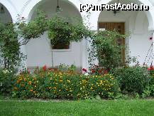 [P12] Flori in incinta manastirii.. » foto by corinne
 - 
<span class="allrVoted glyphicon glyphicon-heart hidden" id="av46519"></span>
<a class="m-l-10 hidden" id="sv46519" onclick="voting_Foto_DelVot(,46519,4842)" role="button">șterge vot <span class="glyphicon glyphicon-remove"></span></a>
<a id="v946519" class=" c-red"  onclick="voting_Foto_SetVot(46519)" role="button"><span class="glyphicon glyphicon-heart-empty"></span> <b>LIKE</b> = Votează poza</a> <img class="hidden"  id="f46519W9" src="/imagini/loader.gif" border="0" /><span class="AjErrMes hidden" id="e46519ErM"></span>