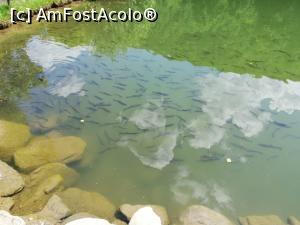 [P17] <strong>Mănăstirea Br&acirc;ncoveanu [S&acirc;mbăta de Sus]</strong> » foto by ⭐ValentinB_88⭐
 - 
<span class="allrVoted glyphicon glyphicon-heart hidden" id="av1235921"></span>
<a class="m-l-10 hidden" id="sv1235921" onclick="voting_Foto_DelVot(,1235921,4842)" role="button">șterge vot <span class="glyphicon glyphicon-remove"></span></a>
<a id="v91235921" class=" c-red"  onclick="voting_Foto_SetVot(1235921)" role="button"><span class="glyphicon glyphicon-heart-empty"></span> <b>LIKE</b> = Votează poza</a> <img class="hidden"  id="f1235921W9" src="/imagini/loader.gif" border="0" /><span class="AjErrMes hidden" id="e1235921ErM"></span>