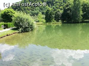 [P18] <strong>Mănăstirea Br&acirc;ncoveanu [S&acirc;mbăta de Sus]</strong> » foto by ⭐ValentinB_88⭐
 - 
<span class="allrVoted glyphicon glyphicon-heart hidden" id="av1235922"></span>
<a class="m-l-10 hidden" id="sv1235922" onclick="voting_Foto_DelVot(,1235922,4842)" role="button">șterge vot <span class="glyphicon glyphicon-remove"></span></a>
<a id="v91235922" class=" c-red"  onclick="voting_Foto_SetVot(1235922)" role="button"><span class="glyphicon glyphicon-heart-empty"></span> <b>LIKE</b> = Votează poza</a> <img class="hidden"  id="f1235922W9" src="/imagini/loader.gif" border="0" /><span class="AjErrMes hidden" id="e1235922ErM"></span>