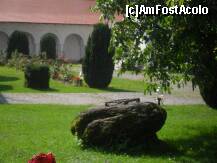 [P18]  -- <small>// FĂRĂ DESCRIERE</small> » foto by iman
 - 
<span class="allrVoted glyphicon glyphicon-heart hidden" id="av146807"></span>
<a class="m-l-10 hidden" id="sv146807" onclick="voting_Foto_DelVot(,146807,4842)" role="button">șterge vot <span class="glyphicon glyphicon-remove"></span></a>
<a id="v9146807" class=" c-red"  onclick="voting_Foto_SetVot(146807)" role="button"><span class="glyphicon glyphicon-heart-empty"></span> <b>LIKE</b> = Votează poza</a> <img class="hidden"  id="f146807W9" src="/imagini/loader.gif" border="0" /><span class="AjErrMes hidden" id="e146807ErM"></span>