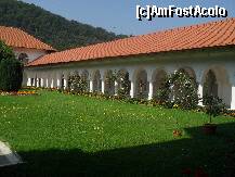 [P19]  -- <small>// FĂRĂ DESCRIERE</small> » foto by iman
 - 
<span class="allrVoted glyphicon glyphicon-heart hidden" id="av146808"></span>
<a class="m-l-10 hidden" id="sv146808" onclick="voting_Foto_DelVot(,146808,4842)" role="button">șterge vot <span class="glyphicon glyphicon-remove"></span></a>
<a id="v9146808" class=" c-red"  onclick="voting_Foto_SetVot(146808)" role="button"><span class="glyphicon glyphicon-heart-empty"></span> <b>LIKE</b> = Votează poza</a> <img class="hidden"  id="f146808W9" src="/imagini/loader.gif" border="0" /><span class="AjErrMes hidden" id="e146808ErM"></span>