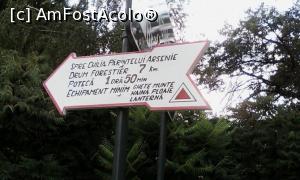 [P49] Spre chilia părintelui Arsenie Boca » foto by Michi
 - 
<span class="allrVoted glyphicon glyphicon-heart hidden" id="av1142894"></span>
<a class="m-l-10 hidden" id="sv1142894" onclick="voting_Foto_DelVot(,1142894,4842)" role="button">șterge vot <span class="glyphicon glyphicon-remove"></span></a>
<a id="v91142894" class=" c-red"  onclick="voting_Foto_SetVot(1142894)" role="button"><span class="glyphicon glyphicon-heart-empty"></span> <b>LIKE</b> = Votează poza</a> <img class="hidden"  id="f1142894W9" src="/imagini/loader.gif" border="0" /><span class="AjErrMes hidden" id="e1142894ErM"></span>