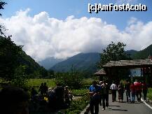 [P01] Sambata de Sus - aleea care duce spre intrarea in Manastirea Brancoveanu » foto by ascent
 - 
<span class="allrVoted glyphicon glyphicon-heart hidden" id="av174083"></span>
<a class="m-l-10 hidden" id="sv174083" onclick="voting_Foto_DelVot(,174083,4842)" role="button">șterge vot <span class="glyphicon glyphicon-remove"></span></a>
<a id="v9174083" class=" c-red"  onclick="voting_Foto_SetVot(174083)" role="button"><span class="glyphicon glyphicon-heart-empty"></span> <b>LIKE</b> = Votează poza</a> <img class="hidden"  id="f174083W9" src="/imagini/loader.gif" border="0" /><span class="AjErrMes hidden" id="e174083ErM"></span>