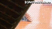 [P11] Preferata mea, cum plang stresinile... » foto by kelyboy
 - 
<span class="allrVoted glyphicon glyphicon-heart hidden" id="av304245"></span>
<a class="m-l-10 hidden" id="sv304245" onclick="voting_Foto_DelVot(,304245,4842)" role="button">șterge vot <span class="glyphicon glyphicon-remove"></span></a>
<a id="v9304245" class=" c-red"  onclick="voting_Foto_SetVot(304245)" role="button"><span class="glyphicon glyphicon-heart-empty"></span> <b>LIKE</b> = Votează poza</a> <img class="hidden"  id="f304245W9" src="/imagini/loader.gif" border="0" /><span class="AjErrMes hidden" id="e304245ErM"></span>