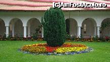 [P05] Simfonie de culori, aranjamente florale facute parca deexperti... » foto by kelyboy
 - 
<span class="allrVoted glyphicon glyphicon-heart hidden" id="av304235"></span>
<a class="m-l-10 hidden" id="sv304235" onclick="voting_Foto_DelVot(,304235,4842)" role="button">șterge vot <span class="glyphicon glyphicon-remove"></span></a>
<a id="v9304235" class=" c-red"  onclick="voting_Foto_SetVot(304235)" role="button"><span class="glyphicon glyphicon-heart-empty"></span> <b>LIKE</b> = Votează poza</a> <img class="hidden"  id="f304235W9" src="/imagini/loader.gif" border="0" /><span class="AjErrMes hidden" id="e304235ErM"></span>