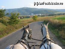 [P07] La plimbare cu sareta » foto by buburuzica
 - 
<span class="allrVoted glyphicon glyphicon-heart hidden" id="av46779"></span>
<a class="m-l-10 hidden" id="sv46779" onclick="voting_Foto_DelVot(,46779,4853)" role="button">șterge vot <span class="glyphicon glyphicon-remove"></span></a>
<a id="v946779" class=" c-red"  onclick="voting_Foto_SetVot(46779)" role="button"><span class="glyphicon glyphicon-heart-empty"></span> <b>LIKE</b> = Votează poza</a> <img class="hidden"  id="f46779W9" src="/imagini/loader.gif" border="0" /><span class="AjErrMes hidden" id="e46779ErM"></span>