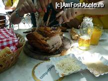 [P03] Am inceput devorarea ciolanului » foto by dannek
 - 
<span class="allrVoted glyphicon glyphicon-heart hidden" id="av54280"></span>
<a class="m-l-10 hidden" id="sv54280" onclick="voting_Foto_DelVot(,54280,4865)" role="button">șterge vot <span class="glyphicon glyphicon-remove"></span></a>
<a id="v954280" class=" c-red"  onclick="voting_Foto_SetVot(54280)" role="button"><span class="glyphicon glyphicon-heart-empty"></span> <b>LIKE</b> = Votează poza</a> <img class="hidden"  id="f54280W9" src="/imagini/loader.gif" border="0" /><span class="AjErrMes hidden" id="e54280ErM"></span>