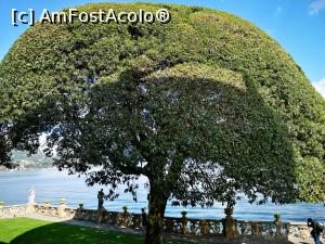[P54] Villa del Balbianello; privind pe fereastră » foto by crismis
 - 
<span class="allrVoted glyphicon glyphicon-heart hidden" id="av1309014"></span>
<a class="m-l-10 hidden" id="sv1309014" onclick="voting_Foto_DelVot(,1309014,4871)" role="button">șterge vot <span class="glyphicon glyphicon-remove"></span></a>
<a id="v91309014" class=" c-red"  onclick="voting_Foto_SetVot(1309014)" role="button"><span class="glyphicon glyphicon-heart-empty"></span> <b>LIKE</b> = Votează poza</a> <img class="hidden"  id="f1309014W9" src="/imagini/loader.gif" border="0" /><span class="AjErrMes hidden" id="e1309014ErM"></span>