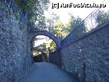 [P24] Traseu in Brunate spre 'Belvedere' » foto by Cristina67
 - 
<span class="allrVoted glyphicon glyphicon-heart hidden" id="av291001"></span>
<a class="m-l-10 hidden" id="sv291001" onclick="voting_Foto_DelVot(,291001,4871)" role="button">șterge vot <span class="glyphicon glyphicon-remove"></span></a>
<a id="v9291001" class=" c-red"  onclick="voting_Foto_SetVot(291001)" role="button"><span class="glyphicon glyphicon-heart-empty"></span> <b>LIKE</b> = Votează poza</a> <img class="hidden"  id="f291001W9" src="/imagini/loader.gif" border="0" /><span class="AjErrMes hidden" id="e291001ErM"></span>