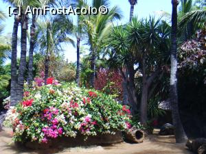 [P14] Loro Park » foto by felix
 - 
<span class="allrVoted glyphicon glyphicon-heart hidden" id="av863716"></span>
<a class="m-l-10 hidden" id="sv863716" onclick="voting_Foto_DelVot(,863716,4873)" role="button">șterge vot <span class="glyphicon glyphicon-remove"></span></a>
<a id="v9863716" class=" c-red"  onclick="voting_Foto_SetVot(863716)" role="button"><span class="glyphicon glyphicon-heart-empty"></span> <b>LIKE</b> = Votează poza</a> <img class="hidden"  id="f863716W9" src="/imagini/loader.gif" border="0" /><span class="AjErrMes hidden" id="e863716ErM"></span>