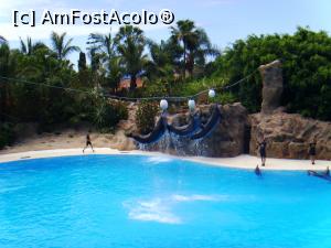 [P15] Loro Park » foto by felix
 - 
<span class="allrVoted glyphicon glyphicon-heart hidden" id="av863717"></span>
<a class="m-l-10 hidden" id="sv863717" onclick="voting_Foto_DelVot(,863717,4873)" role="button">șterge vot <span class="glyphicon glyphicon-remove"></span></a>
<a id="v9863717" class=" c-red"  onclick="voting_Foto_SetVot(863717)" role="button"><span class="glyphicon glyphicon-heart-empty"></span> <b>LIKE</b> = Votează poza</a> <img class="hidden"  id="f863717W9" src="/imagini/loader.gif" border="0" /><span class="AjErrMes hidden" id="e863717ErM"></span>