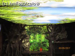 [P17] Loro Park » foto by felix
 - 
<span class="allrVoted glyphicon glyphicon-heart hidden" id="av863719"></span>
<a class="m-l-10 hidden" id="sv863719" onclick="voting_Foto_DelVot(,863719,4873)" role="button">șterge vot <span class="glyphicon glyphicon-remove"></span></a>
<a id="v9863719" class=" c-red"  onclick="voting_Foto_SetVot(863719)" role="button"><span class="glyphicon glyphicon-heart-empty"></span> <b>LIKE</b> = Votează poza</a> <img class="hidden"  id="f863719W9" src="/imagini/loader.gif" border="0" /><span class="AjErrMes hidden" id="e863719ErM"></span>