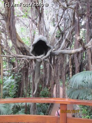 [P18] Loro Park » foto by felix
 - 
<span class="allrVoted glyphicon glyphicon-heart hidden" id="av863720"></span>
<a class="m-l-10 hidden" id="sv863720" onclick="voting_Foto_DelVot(,863720,4873)" role="button">șterge vot <span class="glyphicon glyphicon-remove"></span></a>
<a id="v9863720" class=" c-red"  onclick="voting_Foto_SetVot(863720)" role="button"><span class="glyphicon glyphicon-heart-empty"></span> <b>LIKE</b> = Votează poza</a> <img class="hidden"  id="f863720W9" src="/imagini/loader.gif" border="0" /><span class="AjErrMes hidden" id="e863720ErM"></span>