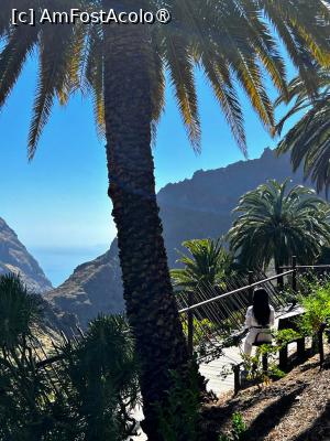 [P29] Dupa drumul spre satul Masca mi-a trebuit o banca » foto by HelloAlex
 - 
<span class="allrVoted glyphicon glyphicon-heart hidden" id="av1397966"></span>
<a class="m-l-10 hidden" id="sv1397966" onclick="voting_Foto_DelVot(,1397966,4873)" role="button">șterge vot <span class="glyphicon glyphicon-remove"></span></a>
<a id="v91397966" class=" c-red"  onclick="voting_Foto_SetVot(1397966)" role="button"><span class="glyphicon glyphicon-heart-empty"></span> <b>LIKE</b> = Votează poza</a> <img class="hidden"  id="f1397966W9" src="/imagini/loader.gif" border="0" /><span class="AjErrMes hidden" id="e1397966ErM"></span>