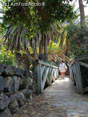 [P38] Coboram la Playa Castro » foto by HelloAlex
 - 
<span class="allrVoted glyphicon glyphicon-heart hidden" id="av1397975"></span>
<a class="m-l-10 hidden" id="sv1397975" onclick="voting_Foto_DelVot(,1397975,4873)" role="button">șterge vot <span class="glyphicon glyphicon-remove"></span></a>
<a id="v91397975" class=" c-red"  onclick="voting_Foto_SetVot(1397975)" role="button"><span class="glyphicon glyphicon-heart-empty"></span> <b>LIKE</b> = Votează poza</a> <img class="hidden"  id="f1397975W9" src="/imagini/loader.gif" border="0" /><span class="AjErrMes hidden" id="e1397975ErM"></span>