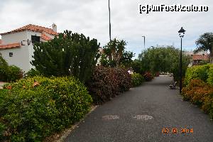 [P10] Cam asa arata Santa Cruz » foto by marmin
 - 
<span class="allrVoted glyphicon glyphicon-heart hidden" id="av517808"></span>
<a class="m-l-10 hidden" id="sv517808" onclick="voting_Foto_DelVot(,517808,4873)" role="button">șterge vot <span class="glyphicon glyphicon-remove"></span></a>
<a id="v9517808" class=" c-red"  onclick="voting_Foto_SetVot(517808)" role="button"><span class="glyphicon glyphicon-heart-empty"></span> <b>LIKE</b> = Votează poza</a> <img class="hidden"  id="f517808W9" src="/imagini/loader.gif" border="0" /><span class="AjErrMes hidden" id="e517808ErM"></span>