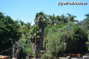 [P13] Jungle Park » foto by marmin
 - 
<span class="allrVoted glyphicon glyphicon-heart hidden" id="av517820"></span>
<a class="m-l-10 hidden" id="sv517820" onclick="voting_Foto_DelVot(,517820,4873)" role="button">șterge vot <span class="glyphicon glyphicon-remove"></span></a>
<a id="v9517820" class=" c-red"  onclick="voting_Foto_SetVot(517820)" role="button"><span class="glyphicon glyphicon-heart-empty"></span> <b>LIKE</b> = Votează poza</a> <img class="hidden"  id="f517820W9" src="/imagini/loader.gif" border="0" /><span class="AjErrMes hidden" id="e517820ErM"></span>