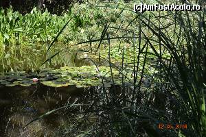 [P14] Jungle Park » foto by marmin
 - 
<span class="allrVoted glyphicon glyphicon-heart hidden" id="av517821"></span>
<a class="m-l-10 hidden" id="sv517821" onclick="voting_Foto_DelVot(,517821,4873)" role="button">șterge vot <span class="glyphicon glyphicon-remove"></span></a>
<a id="v9517821" class=" c-red"  onclick="voting_Foto_SetVot(517821)" role="button"><span class="glyphicon glyphicon-heart-empty"></span> <b>LIKE</b> = Votează poza</a> <img class="hidden"  id="f517821W9" src="/imagini/loader.gif" border="0" /><span class="AjErrMes hidden" id="e517821ErM"></span>