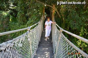 [P17] Unul din podurile suspendate » foto by marmin
 - 
<span class="allrVoted glyphicon glyphicon-heart hidden" id="av517827"></span>
<a class="m-l-10 hidden" id="sv517827" onclick="voting_Foto_DelVot(,517827,4873)" role="button">șterge vot <span class="glyphicon glyphicon-remove"></span></a>
<a id="v9517827" class=" c-red"  onclick="voting_Foto_SetVot(517827)" role="button"><span class="glyphicon glyphicon-heart-empty"></span> <b>LIKE</b> = Votează poza</a> <img class="hidden"  id="f517827W9" src="/imagini/loader.gif" border="0" /><span class="AjErrMes hidden" id="e517827ErM"></span>