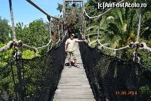 [P18] Jungle Park » foto by marmin
 - 
<span class="allrVoted glyphicon glyphicon-heart hidden" id="av517830"></span>
<a class="m-l-10 hidden" id="sv517830" onclick="voting_Foto_DelVot(,517830,4873)" role="button">șterge vot <span class="glyphicon glyphicon-remove"></span></a>
<a id="v9517830" class=" c-red"  onclick="voting_Foto_SetVot(517830)" role="button"><span class="glyphicon glyphicon-heart-empty"></span> <b>LIKE</b> = Votează poza</a> <img class="hidden"  id="f517830W9" src="/imagini/loader.gif" border="0" /><span class="AjErrMes hidden" id="e517830ErM"></span>