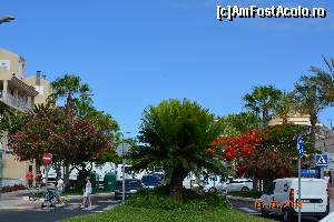 [P03] Los Cristianos » foto by marmin
 - 
<span class="allrVoted glyphicon glyphicon-heart hidden" id="av517799"></span>
<a class="m-l-10 hidden" id="sv517799" onclick="voting_Foto_DelVot(,517799,4873)" role="button">șterge vot <span class="glyphicon glyphicon-remove"></span></a>
<a id="v9517799" class=" c-red"  onclick="voting_Foto_SetVot(517799)" role="button"><span class="glyphicon glyphicon-heart-empty"></span> <b>LIKE</b> = Votează poza</a> <img class="hidden"  id="f517799W9" src="/imagini/loader.gif" border="0" /><span class="AjErrMes hidden" id="e517799ErM"></span>