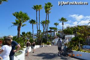 [P06] Si drumul de promenada pe faleza » foto by marmin
 - 
<span class="allrVoted glyphicon glyphicon-heart hidden" id="av517802"></span>
<a class="m-l-10 hidden" id="sv517802" onclick="voting_Foto_DelVot(,517802,4873)" role="button">șterge vot <span class="glyphicon glyphicon-remove"></span></a>
<a id="v9517802" class=" c-red"  onclick="voting_Foto_SetVot(517802)" role="button"><span class="glyphicon glyphicon-heart-empty"></span> <b>LIKE</b> = Votează poza</a> <img class="hidden"  id="f517802W9" src="/imagini/loader.gif" border="0" /><span class="AjErrMes hidden" id="e517802ErM"></span>