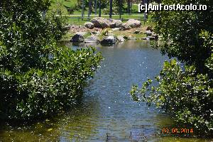 [P09] Imagina din Gradina Botanica din Santa Cruz » foto by marmin
 - 
<span class="allrVoted glyphicon glyphicon-heart hidden" id="av517807"></span>
<a class="m-l-10 hidden" id="sv517807" onclick="voting_Foto_DelVot(,517807,4873)" role="button">șterge vot <span class="glyphicon glyphicon-remove"></span></a>
<a id="v9517807" class=" c-red"  onclick="voting_Foto_SetVot(517807)" role="button"><span class="glyphicon glyphicon-heart-empty"></span> <b>LIKE</b> = Votează poza</a> <img class="hidden"  id="f517807W9" src="/imagini/loader.gif" border="0" /><span class="AjErrMes hidden" id="e517807ErM"></span>