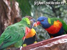 [P20] Jungle Park » foto by gretalc*
 - 
<span class="allrVoted glyphicon glyphicon-heart hidden" id="av119037"></span>
<a class="m-l-10 hidden" id="sv119037" onclick="voting_Foto_DelVot(,119037,4873)" role="button">șterge vot <span class="glyphicon glyphicon-remove"></span></a>
<a id="v9119037" class=" c-red"  onclick="voting_Foto_SetVot(119037)" role="button"><span class="glyphicon glyphicon-heart-empty"></span> <b>LIKE</b> = Votează poza</a> <img class="hidden"  id="f119037W9" src="/imagini/loader.gif" border="0" /><span class="AjErrMes hidden" id="e119037ErM"></span>