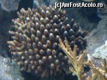 [P21] L'Oro Parque » foto by gretalc*
 - 
<span class="allrVoted glyphicon glyphicon-heart hidden" id="av119038"></span>
<a class="m-l-10 hidden" id="sv119038" onclick="voting_Foto_DelVot(,119038,4873)" role="button">șterge vot <span class="glyphicon glyphicon-remove"></span></a>
<a id="v9119038" class=" c-red"  onclick="voting_Foto_SetVot(119038)" role="button"><span class="glyphicon glyphicon-heart-empty"></span> <b>LIKE</b> = Votează poza</a> <img class="hidden"  id="f119038W9" src="/imagini/loader.gif" border="0" /><span class="AjErrMes hidden" id="e119038ErM"></span>