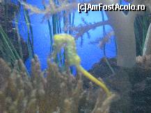 [P24] L'Oro Parque » foto by gretalc*
 - 
<span class="allrVoted glyphicon glyphicon-heart hidden" id="av119043"></span>
<a class="m-l-10 hidden" id="sv119043" onclick="voting_Foto_DelVot(,119043,4873)" role="button">șterge vot <span class="glyphicon glyphicon-remove"></span></a>
<a id="v9119043" class=" c-red"  onclick="voting_Foto_SetVot(119043)" role="button"><span class="glyphicon glyphicon-heart-empty"></span> <b>LIKE</b> = Votează poza</a> <img class="hidden"  id="f119043W9" src="/imagini/loader.gif" border="0" /><span class="AjErrMes hidden" id="e119043ErM"></span>