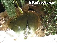 [P30] Jungle Park » foto by gretalc*
 - 
<span class="allrVoted glyphicon glyphicon-heart hidden" id="av119054"></span>
<a class="m-l-10 hidden" id="sv119054" onclick="voting_Foto_DelVot(,119054,4873)" role="button">șterge vot <span class="glyphicon glyphicon-remove"></span></a>
<a id="v9119054" class=" c-red"  onclick="voting_Foto_SetVot(119054)" role="button"><span class="glyphicon glyphicon-heart-empty"></span> <b>LIKE</b> = Votează poza</a> <img class="hidden"  id="f119054W9" src="/imagini/loader.gif" border="0" /><span class="AjErrMes hidden" id="e119054ErM"></span>