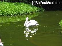 [P31] Jungle Park » foto by gretalc*
 - 
<span class="allrVoted glyphicon glyphicon-heart hidden" id="av119057"></span>
<a class="m-l-10 hidden" id="sv119057" onclick="voting_Foto_DelVot(,119057,4873)" role="button">șterge vot <span class="glyphicon glyphicon-remove"></span></a>
<a id="v9119057" class=" c-red"  onclick="voting_Foto_SetVot(119057)" role="button"><span class="glyphicon glyphicon-heart-empty"></span> <b>LIKE</b> = Votează poza</a> <img class="hidden"  id="f119057W9" src="/imagini/loader.gif" border="0" /><span class="AjErrMes hidden" id="e119057ErM"></span>