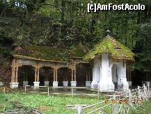 [P11] Izvorul Ferdinand » foto by verobutterfly
 - 
<span class="allrVoted glyphicon glyphicon-heart hidden" id="av147014"></span>
<a class="m-l-10 hidden" id="sv147014" onclick="voting_Foto_DelVot(,147014,4898)" role="button">șterge vot <span class="glyphicon glyphicon-remove"></span></a>
<a id="v9147014" class=" c-red"  onclick="voting_Foto_SetVot(147014)" role="button"><span class="glyphicon glyphicon-heart-empty"></span> <b>LIKE</b> = Votează poza</a> <img class="hidden"  id="f147014W9" src="/imagini/loader.gif" border="0" /><span class="AjErrMes hidden" id="e147014ErM"></span>