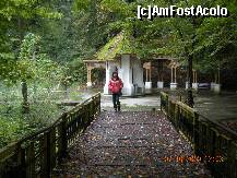 [P12] Podul care ducea spre scari » foto by verobutterfly
 - 
<span class="allrVoted glyphicon glyphicon-heart hidden" id="av147015"></span>
<a class="m-l-10 hidden" id="sv147015" onclick="voting_Foto_DelVot(,147015,4898)" role="button">șterge vot <span class="glyphicon glyphicon-remove"></span></a>
<a id="v9147015" class=" c-red"  onclick="voting_Foto_SetVot(147015)" role="button"><span class="glyphicon glyphicon-heart-empty"></span> <b>LIKE</b> = Votează poza</a> <img class="hidden"  id="f147015W9" src="/imagini/loader.gif" border="0" /><span class="AjErrMes hidden" id="e147015ErM"></span>