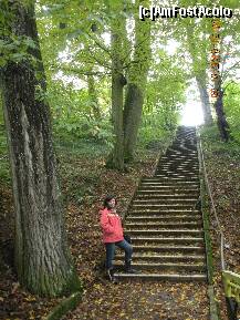 [P13] Toamna la Govora » foto by verobutterfly
 - 
<span class="allrVoted glyphicon glyphicon-heart hidden" id="av147016"></span>
<a class="m-l-10 hidden" id="sv147016" onclick="voting_Foto_DelVot(,147016,4898)" role="button">șterge vot <span class="glyphicon glyphicon-remove"></span></a>
<a id="v9147016" class=" c-red"  onclick="voting_Foto_SetVot(147016)" role="button"><span class="glyphicon glyphicon-heart-empty"></span> <b>LIKE</b> = Votează poza</a> <img class="hidden"  id="f147016W9" src="/imagini/loader.gif" border="0" /><span class="AjErrMes hidden" id="e147016ErM"></span>