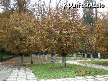 [P16] Parcul cu castani » foto by verobutterfly
 - 
<span class="allrVoted glyphicon glyphicon-heart hidden" id="av147019"></span>
<a class="m-l-10 hidden" id="sv147019" onclick="voting_Foto_DelVot(,147019,4898)" role="button">șterge vot <span class="glyphicon glyphicon-remove"></span></a>
<a id="v9147019" class=" c-red"  onclick="voting_Foto_SetVot(147019)" role="button"><span class="glyphicon glyphicon-heart-empty"></span> <b>LIKE</b> = Votează poza</a> <img class="hidden"  id="f147019W9" src="/imagini/loader.gif" border="0" /><span class="AjErrMes hidden" id="e147019ErM"></span>