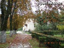 [P17]  -- <small>// FĂRĂ DESCRIERE</small> » foto by verobutterfly
 - 
<span class="allrVoted glyphicon glyphicon-heart hidden" id="av147020"></span>
<a class="m-l-10 hidden" id="sv147020" onclick="voting_Foto_DelVot(,147020,4898)" role="button">șterge vot <span class="glyphicon glyphicon-remove"></span></a>
<a id="v9147020" class=" c-red"  onclick="voting_Foto_SetVot(147020)" role="button"><span class="glyphicon glyphicon-heart-empty"></span> <b>LIKE</b> = Votează poza</a> <img class="hidden"  id="f147020W9" src="/imagini/loader.gif" border="0" /><span class="AjErrMes hidden" id="e147020ErM"></span>