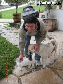 [P32] Maicutele au salvat caini si pisici si cauta stapani iubitori » foto by verobutterfly
 - 
<span class="allrVoted glyphicon glyphicon-heart hidden" id="av147039"></span>
<a class="m-l-10 hidden" id="sv147039" onclick="voting_Foto_DelVot(,147039,4898)" role="button">șterge vot <span class="glyphicon glyphicon-remove"></span></a>
<a id="v9147039" class=" c-red"  onclick="voting_Foto_SetVot(147039)" role="button"><span class="glyphicon glyphicon-heart-empty"></span> <b>LIKE</b> = Votează poza</a> <img class="hidden"  id="f147039W9" src="/imagini/loader.gif" border="0" /><span class="AjErrMes hidden" id="e147039ErM"></span>