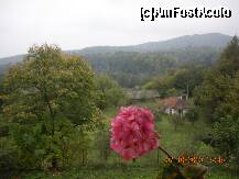 [P46] Frumusetea si linistea acestor locuri » foto by verobutterfly
 - 
<span class="allrVoted glyphicon glyphicon-heart hidden" id="av147062"></span>
<a class="m-l-10 hidden" id="sv147062" onclick="voting_Foto_DelVot(,147062,4898)" role="button">șterge vot <span class="glyphicon glyphicon-remove"></span></a>
<a id="v9147062" class=" c-red"  onclick="voting_Foto_SetVot(147062)" role="button"><span class="glyphicon glyphicon-heart-empty"></span> <b>LIKE</b> = Votează poza</a> <img class="hidden"  id="f147062W9" src="/imagini/loader.gif" border="0" /><span class="AjErrMes hidden" id="e147062ErM"></span>